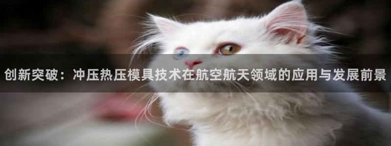 武汉易倍捷科技有限公司：创新突破：冲压热压模具技术在航空