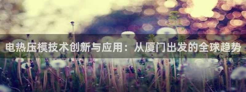 易倍单词登录平台：电热压模技术创新与应用：从厦门出发的全