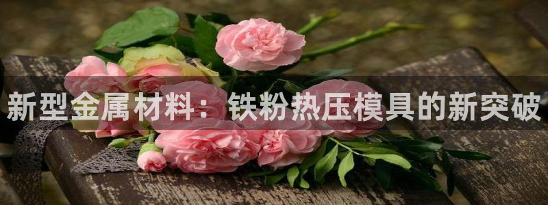 易倍单词软件