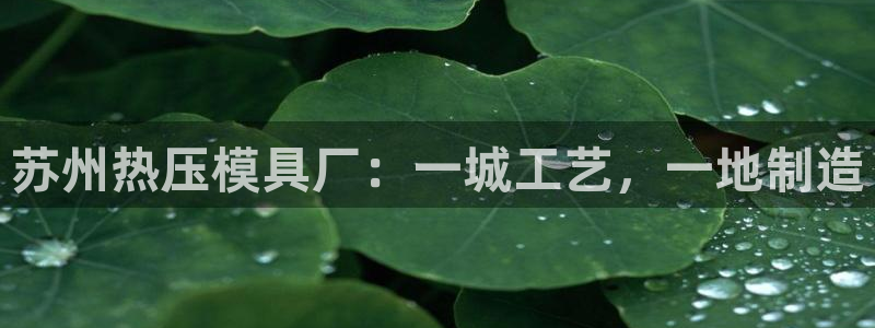 易倍单词官方网站