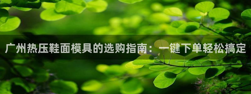 易倍单词官方网站