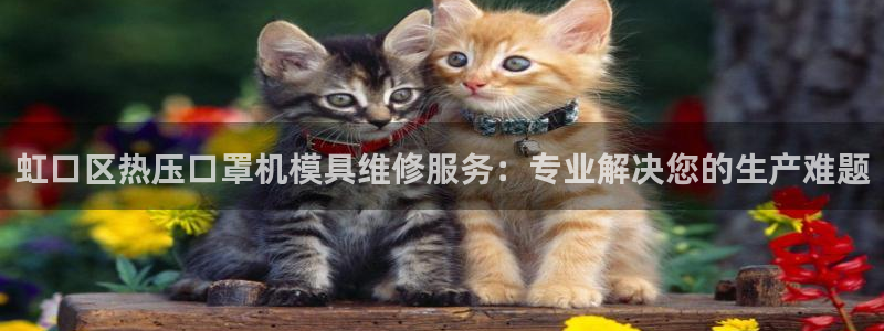 易倍网络技术有限公司