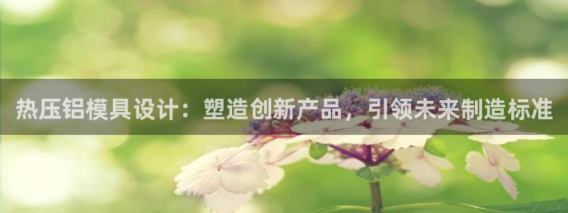易倍单词登录网站：热压铝模具设计：塑造创新产品，引领未来