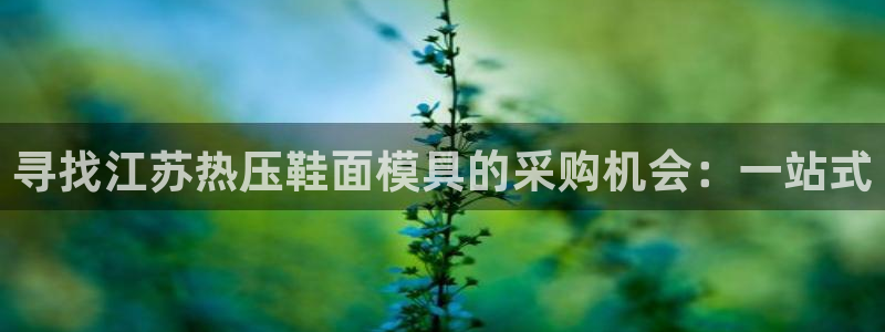 emc易倍官网首页：寻找江苏热压鞋面模具的采购机会：一站