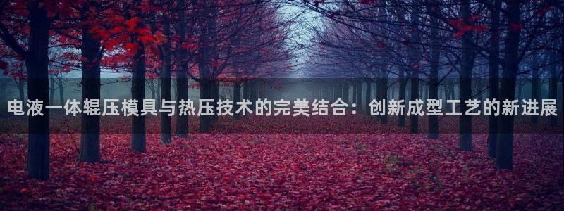 杭州易倍达上班怎么样：电液一体辊压模具与热压技术的完美结
