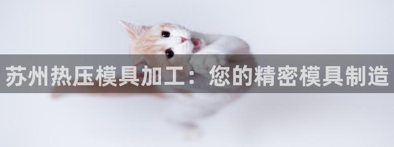 易倍纤谷物粉效果好吗