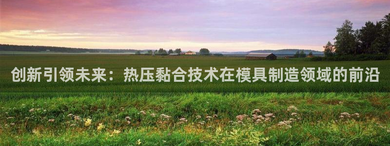 易倍纤奶昔减肥效果怎么样：创新引领未来：热压黏合技术在模