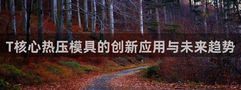 emc易倍官网首页进入：T核心热压模具的创新应用与未来趋