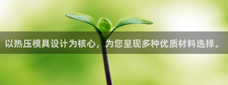 emc易倍下载：以热压模具设计为核心，为您呈现多种优质材