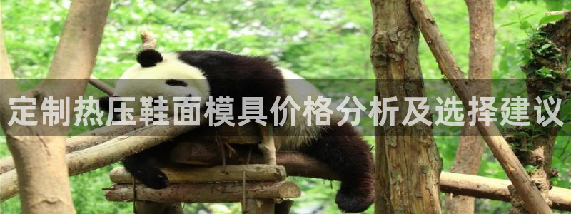 emc易倍在线登录：定制热压鞋面模具价格分析及选择建议