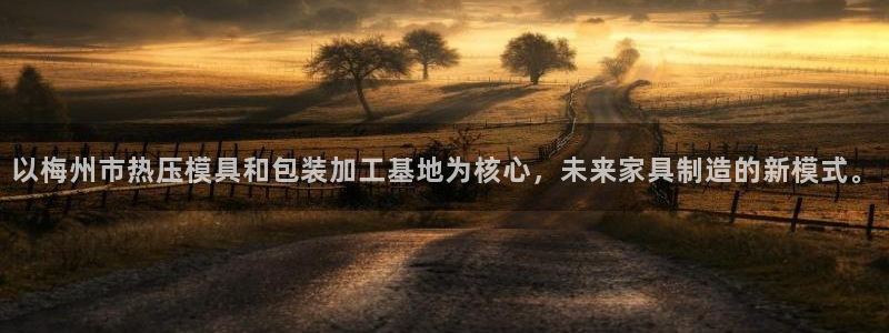 emc易倍登录：以梅州市热压模具和包装加工基地为核心，未