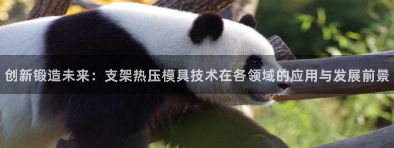 易倍申上市时间：创新锻造未来：支架热压模具技术在各领域的