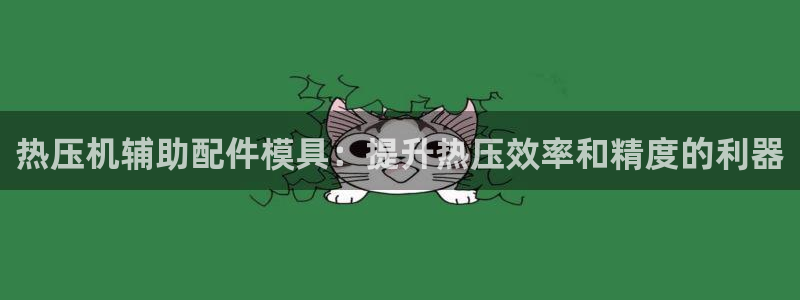 易倍纤使用方法:热压机辅助配件模具:提升热压效率和精度的