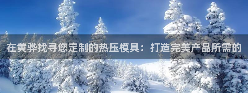 易倍网络技术有限公司招聘:在黄骅找寻您定制的热压模具:打