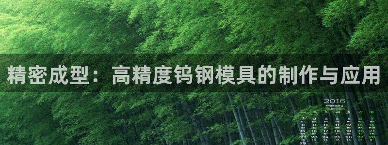 易倍纤使用方法：精密成型：高精度钨钢模具的制作与应用