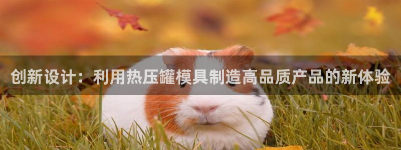 低频的emc用什么滤波：创新设计：利用热压罐模具制造高品