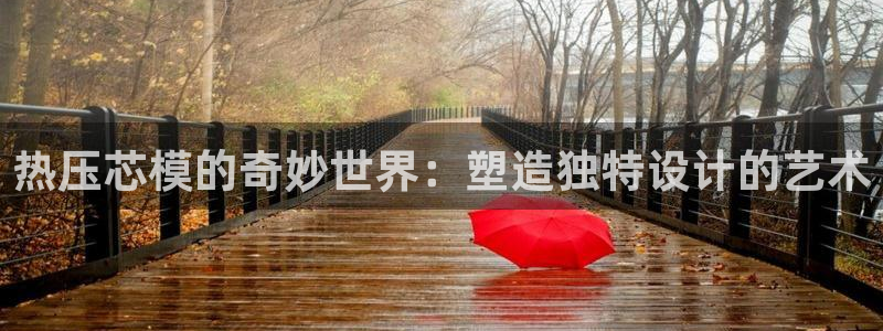 易倍达科技有限公司代运营