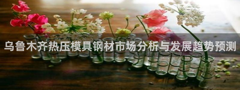 emc全站app下载：乌鲁木齐热压模具钢材市场分析与发展