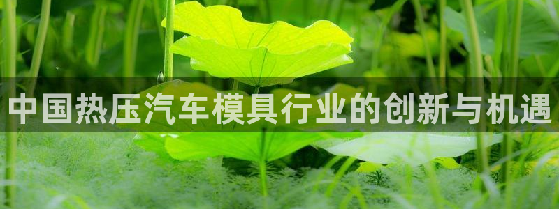 emc易倍老板:中国热压汽车模具行业的创新与机遇