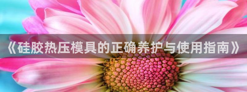 易倍网络技术有限公司是干嘛的:《硅胶热压模具的正确养护与