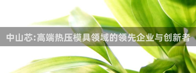 emc易倍ios官网:中山芯:高端热压模具领域的领先企业