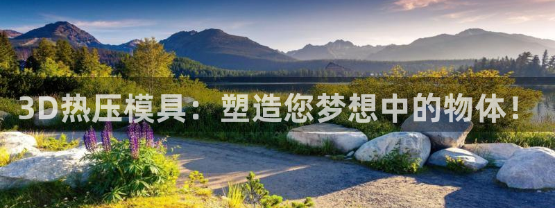 emc易倍的服务优势